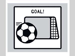 1614-66-02, Soccer Panel