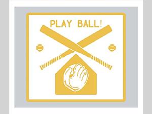 1614-69-02, Baseball Panel