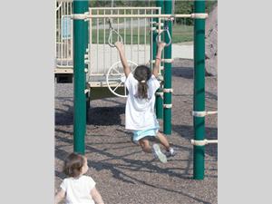 1621-11 Accessible Ring Pull,