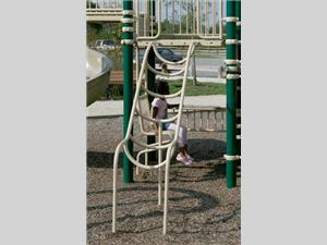 1681-4-11 Loop Climber