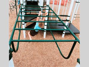 1689 Overhead Safety Ladder