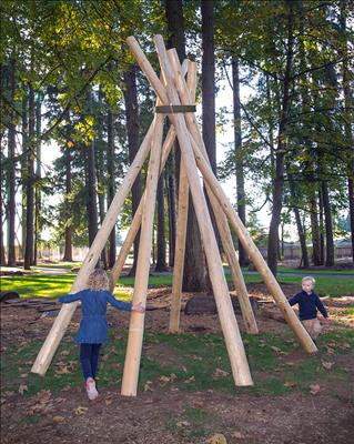 4500-101 TimberCraft PlayFrame™
