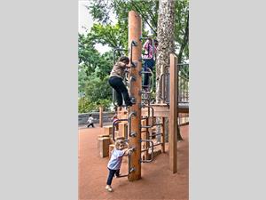 Classic TimberForm Climbing Tree 1979-01-TF