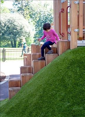 Embankment Slide Stepping Column™ access