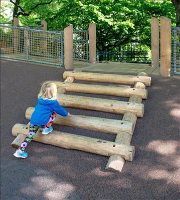 Embankment Log Ladder?